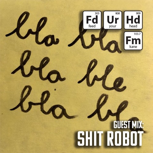 Feed Your Head Guest Mix: Shit Robot