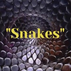 C.o.N-Vers - Snakes