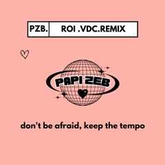 Roi - videoclub - PZB (REMIX)