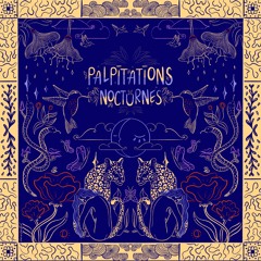 Palpitations Nocturnes