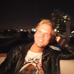 without you avicii documentary