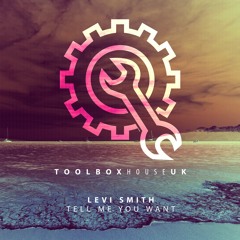 Levi Smith - Tell Me You Want | OUT NOW