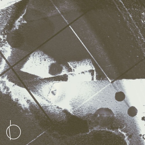 Log 028 - Mordio