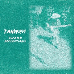 PREMIERE: Tandreh — Ladoga (Bonambi Records)
