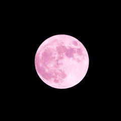 Moonshine✨