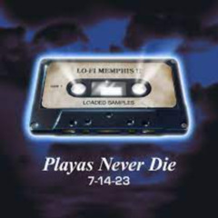 Fxr!orηzy$l3yer, Dj Sound - Playaz Never Die