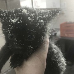 im insecure too shawty p. idk