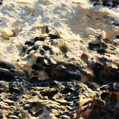 Backdrops
