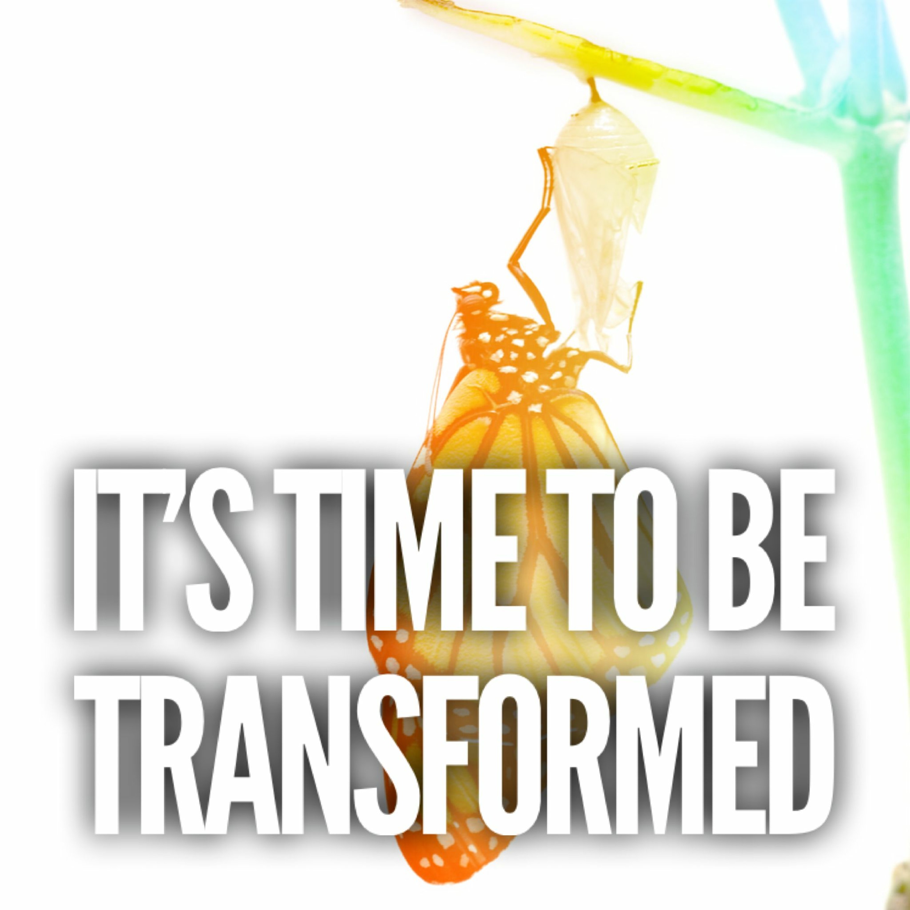 1/24/21 It's Time To Be Transformed episode artwork