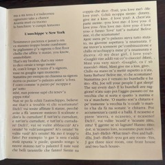 L'Auschippe 'e New York / Gennaro Amato