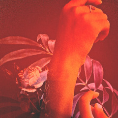 01 Matahari-2024-05-07