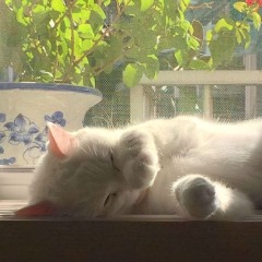 The 6th Summer (Short)