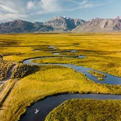 أسعى نحو الغرض