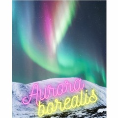 Aurora Borealis - NYE 2022 Part I - @WaMu - Bad Liebenzell, 31.12.22