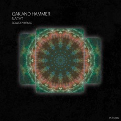 PREMIERE: Oak And Hammer - Nacht (Dowden Remix) [Polyptych Noir]