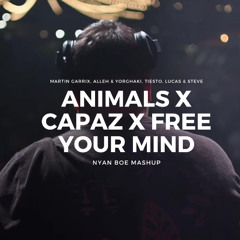 Martin Garrix, Alleh & Yorghaki, Tiesto - Animals x Capaz x Free Your Mind (Nyan Boe Mashup)