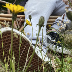 I found this song in my files i dont remember making it