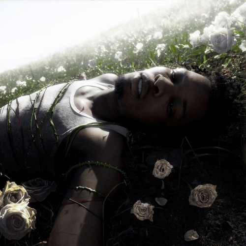 WITHERED (all snippets that were found.)