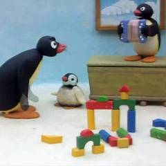 Salvo Tanzed - Pingu Accordion