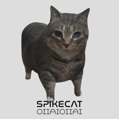 Spikecat - OIIAIOIIAI (Spinning Cat House/Dubstep Remix)