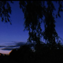 Like I Want U (feat. Akacia)