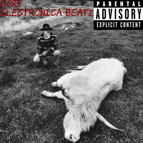 Mach-Hommy TYPE BEAT “Hory Ghost in GORE-TEX JACKETS”【original 】