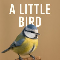 A Little Bird