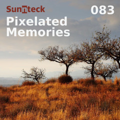 Pixelated Memories 083