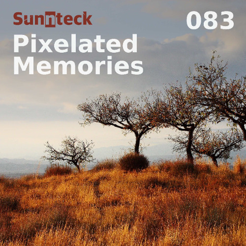 Pixelated Memories 083