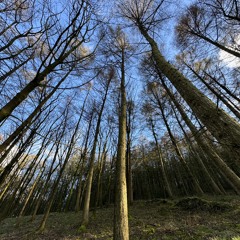 Biggaboi & Link - bare wobble remix