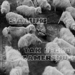 SALUKI - ТАК ЛЕГКО ЗАМЁРЗНУТЬ [PHLORENCE. Remix]