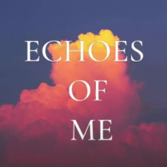 Echoes of me loop