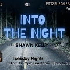 Into The Night - Kerrilynn Shellhorn - High Strangeness  Paranormal