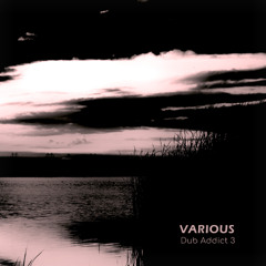 Nirmanakaya / Dub Addict Vol.3 / Space Of Variants