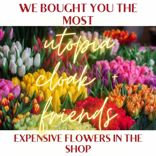 Utopia Cloak - We Bought You The Most Expensive Flowers In The Shop (Dollarstore Keyboard remix)