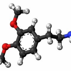 01 1st Dopmaine Pill