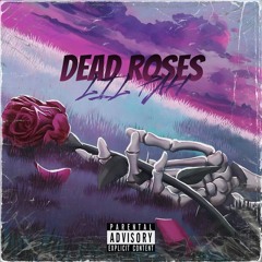 DEAD ROSES