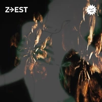 VACARME - Peste Sauvage Soundcloud podcast image for VACARME - Peste Sauvage