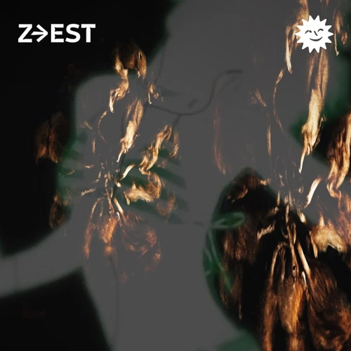 Soundcloud podcast image for