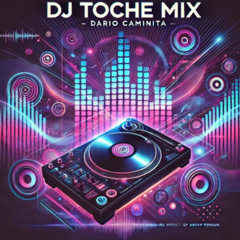 CLASSIC REVIBES DARIO CAMINITA COLLECTION VOLUME 12 & 13 MIXED BY DJ TOCHE