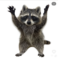 240KM/H AUF WISH BESTELLT