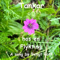 Tankar hos en Flykting (Thoughts of a Refuge) Lyrics in English below