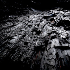 Petrified