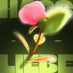 hassliebe (fast version)