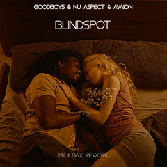 Goodboys & Nu Aspect & Avaion - Blindspot (Mr.JuBax Rework)