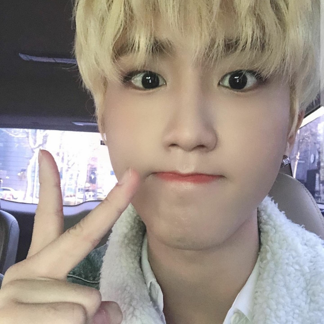Stream [Stray Kids : SKZ-PLAYER] HAN 