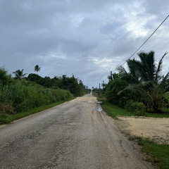 Liahona Lanu Mata Hinehina