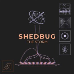 Shedbug - The Storm [MTROND010]