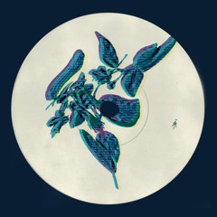 PREMIERE: Täino - Feijoa [Self-Released]