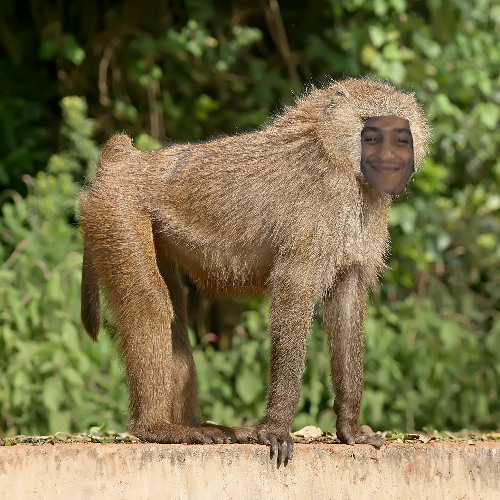 BABOONBAP (PROD. ZACH RABBIT)